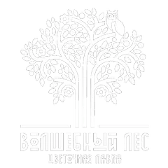 Волшебный лес — цветочные лавки